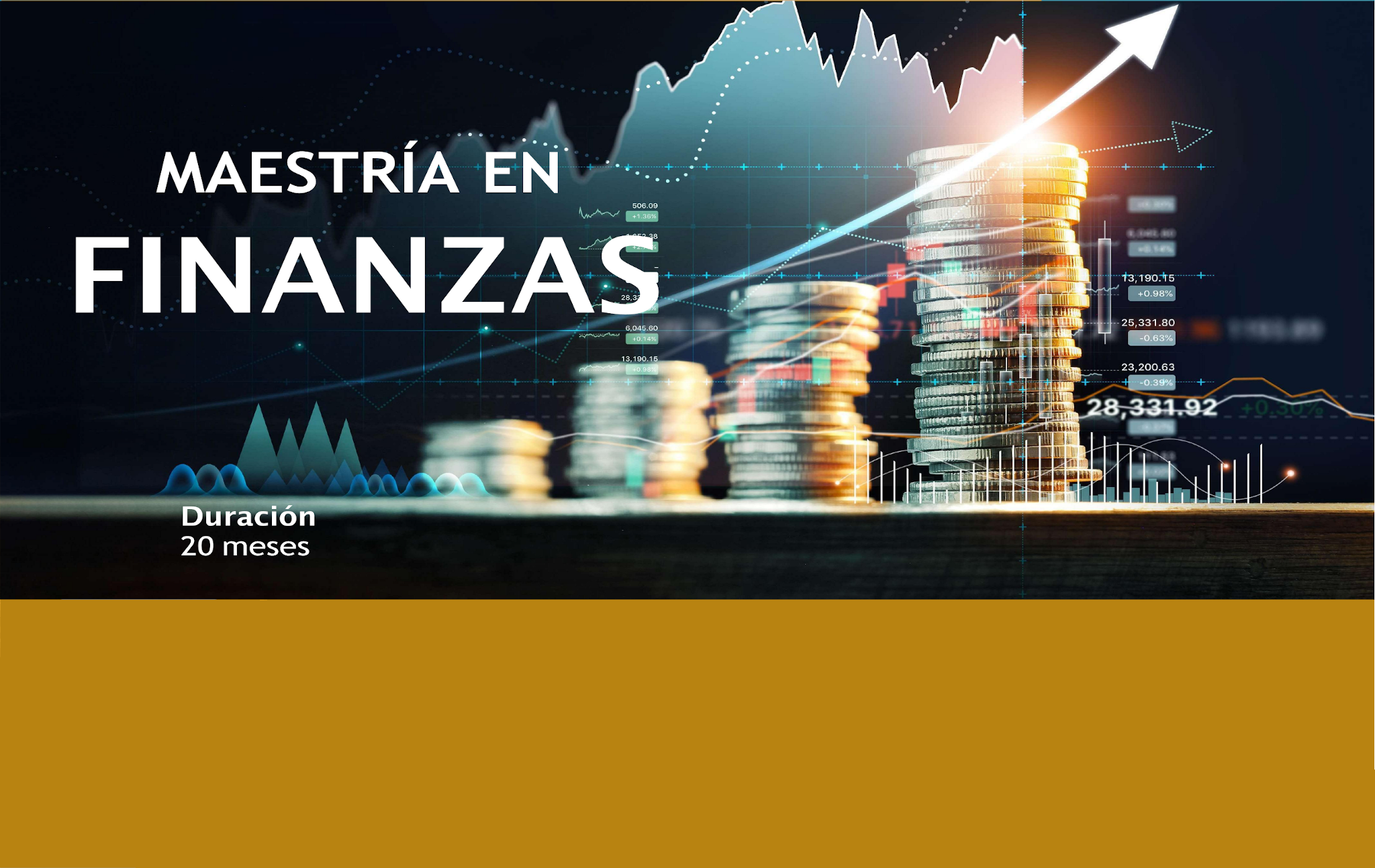 maestría en finanzas